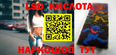 крисы Ирбит